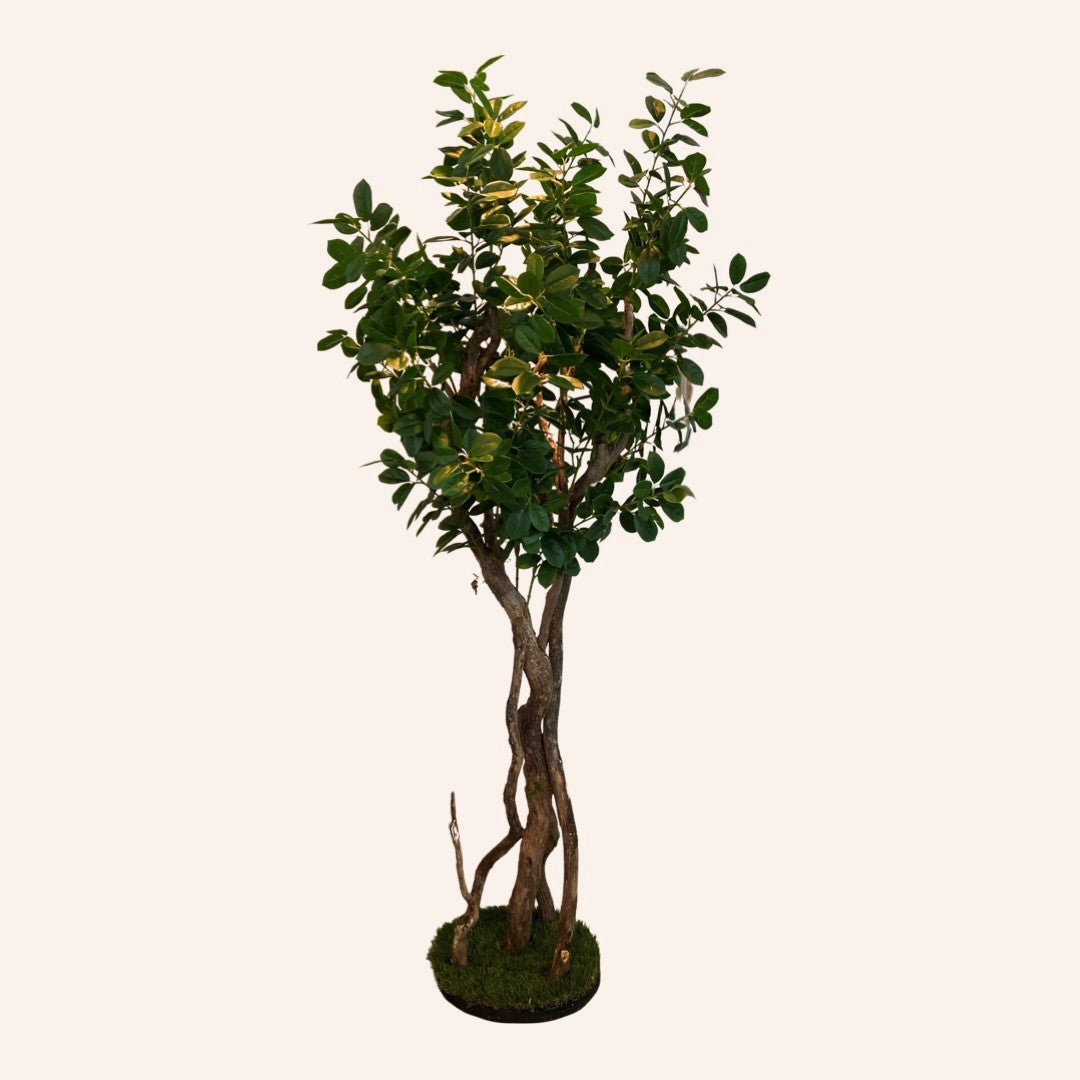 Green tree